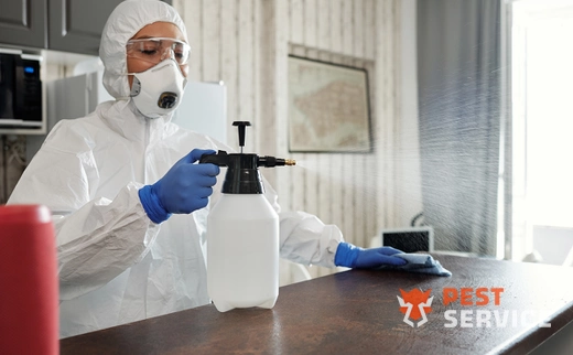 Дезинфекция в Саянске